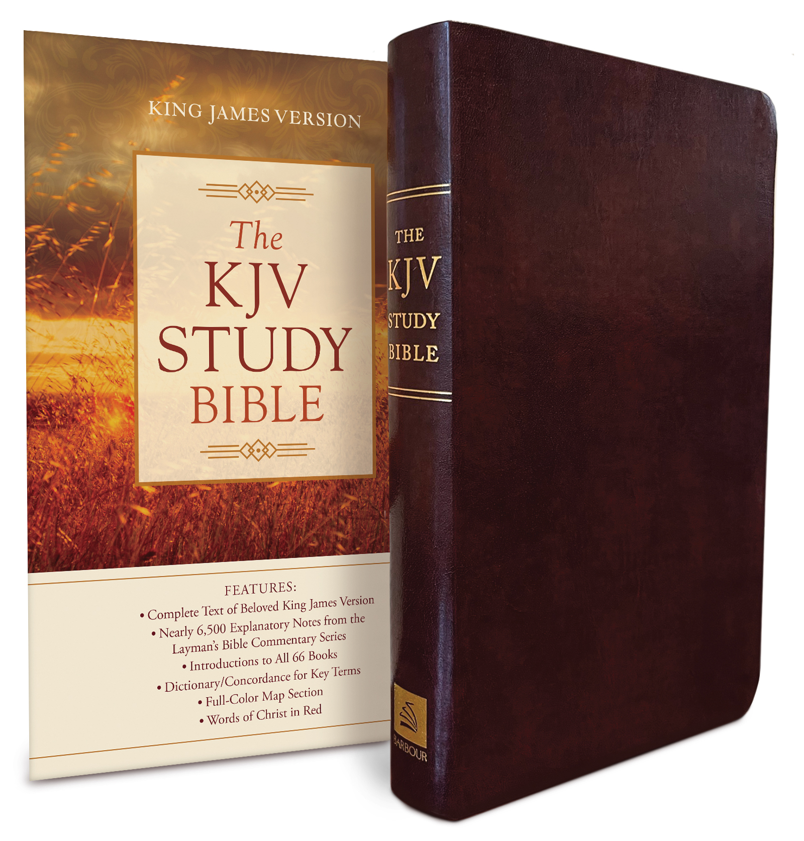 【中古】 What the Bible Says about God’s Will/BARBOUR PUB INC/Barbour Publishing Bible Wisdom for Your Life: Men's Edition