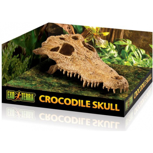 Exo Terra Crocodile Skull Medium