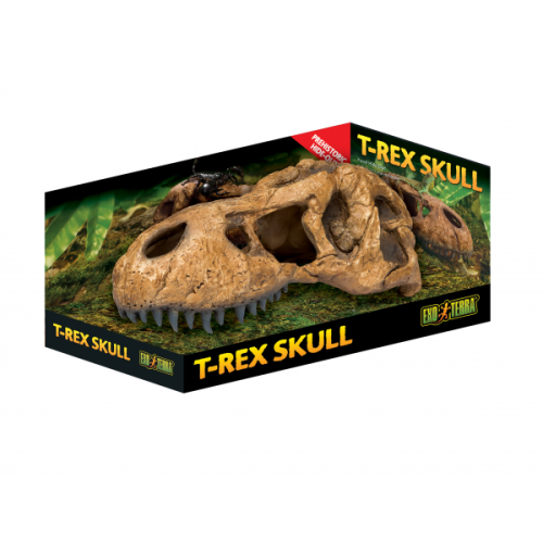 Exo Terra T Rex Skull