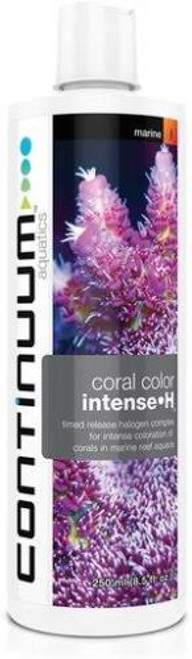 Continuum Coral Color Intense H