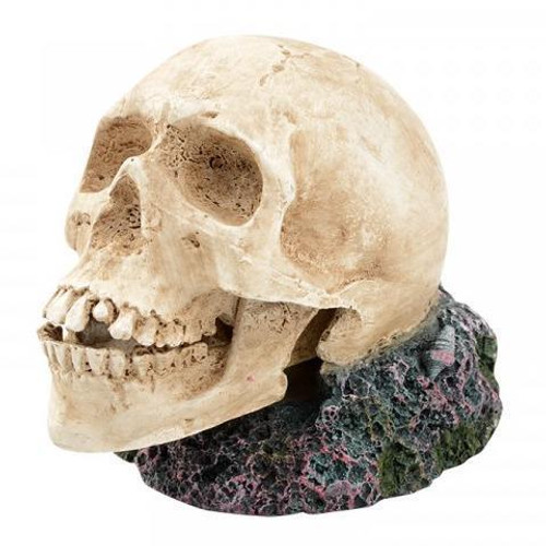 Bioscape Bubbler - Large Human Skull