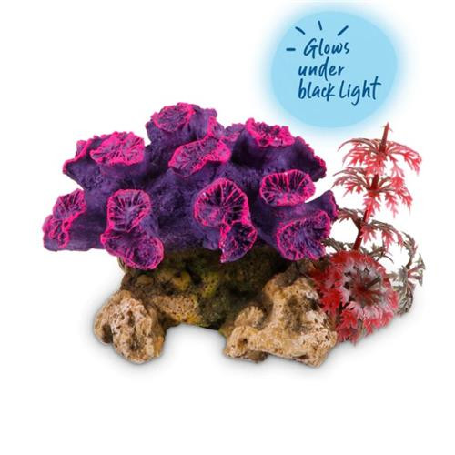 Kazoo Coral with Plant Small