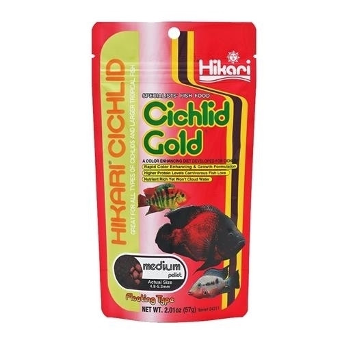 Hikari Cichlid Gold
