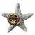 Zoo Med Steampunk Ornament Starfish 12cm