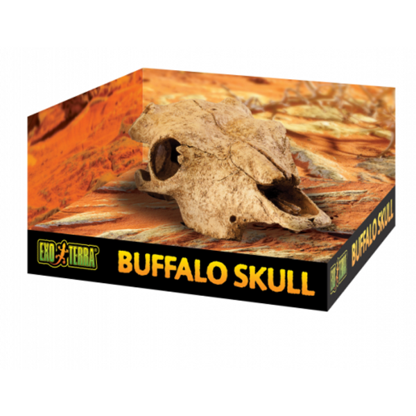 Exo Terra Buffalo Skull Medium