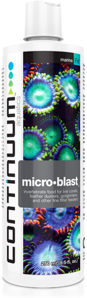 Continuum Micro Blast
