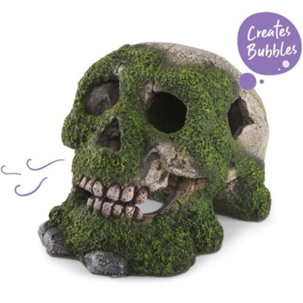 Kazoo Bubbling Skull With Moss
