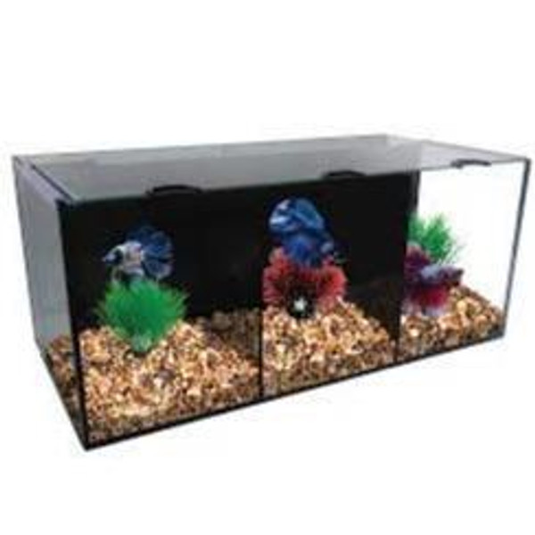 Aqua One Betta Condo Trio 60x24x24cm