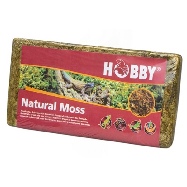 Hobby Natural Moss 100g