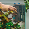 Product In Use