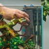 Product In Use