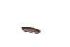 Primary Product Image (White Background Free Standing)
