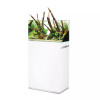 Primary Product Image (White Background Free Standing)