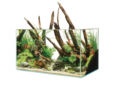 ScaperLine 60 Aquarium