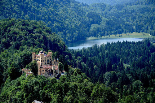 Jual Poster Germany Castles Forests Hohenschwangau Castle 1Z