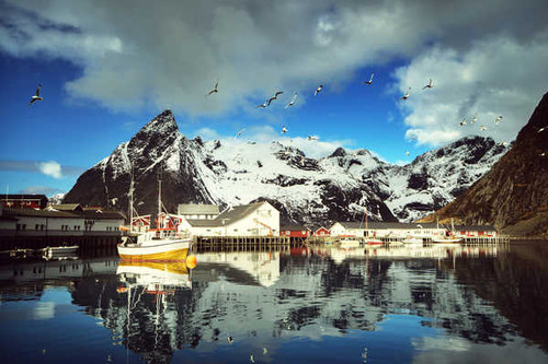 Jual Poster Norway Lofoten Mountains Houses Marinas Gull 1Z