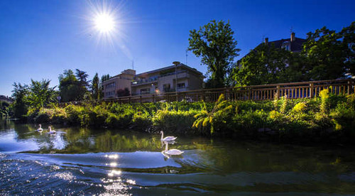 Jual Poster Strasbourg France Houses Rivers Swans Fence Sun 1Z