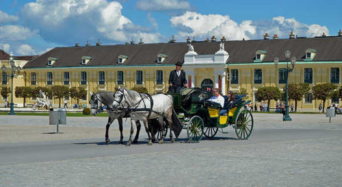 Jual Poster Vienna Austria Horses Town square Palace 1Z