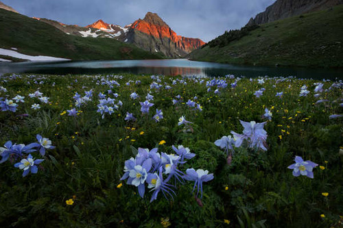 Jual Poster Flower Lake Meadow Mountain Nature Flowers Flower 1APC Jual Poster Flower Lake Meadow Mountain Nature Flowers Flower 1APC