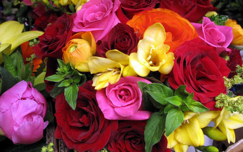 Jual Poster Flowers Flower 1074APC