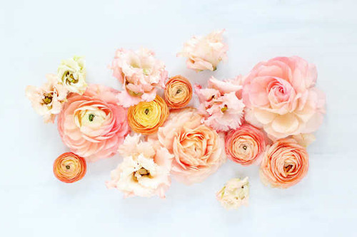 Jual Poster Flowers Flower 1177APC