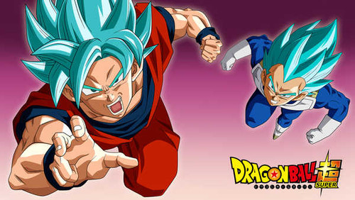 Poster Dragon Ball Dragon Ball Super APC011
