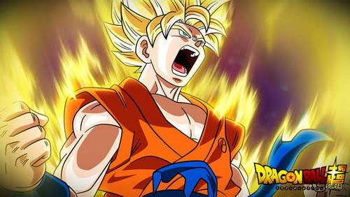 Poster Dragon Ball Dragon Ball Super APC022