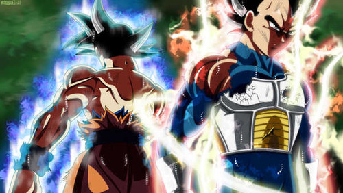 Poster Dragon Ball Dragon Ball Super APC050