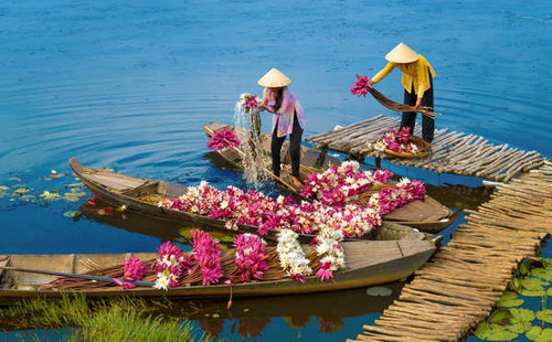 Jual Poster Asian Boats Lilies Work WPS