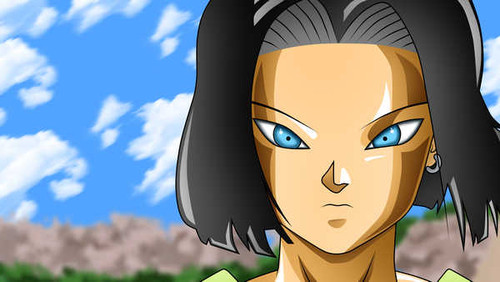 Poster Dragon Ball Dragon Ball Super APC112A