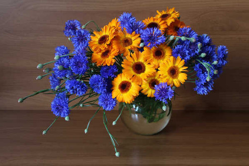 Jual Poster Bouquets Cornflowers Calendula WPS