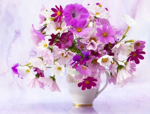 Jual Poster Bouquets Cosmos plant Petunia Vase WPS
