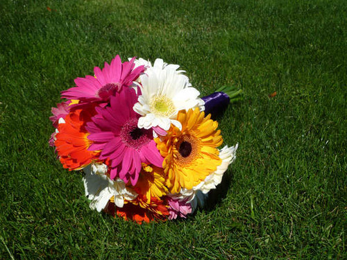 Jual Poster Bouquets Gerberas Grass WPS