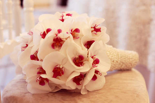 Jual Poster Bouquets Orchid WPS 001