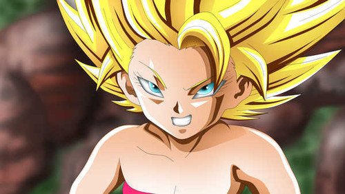 Poster Dragon Ball Dragon Ball Super APC147A