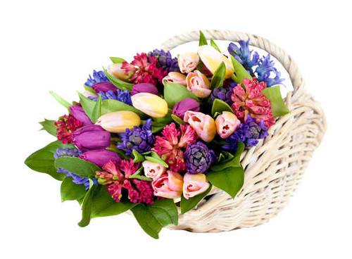 Jual Poster Bouquets Tulips Hyacinths White background Wicker WPS