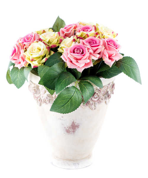 Jual Poster Bouquets White background Vase WPS