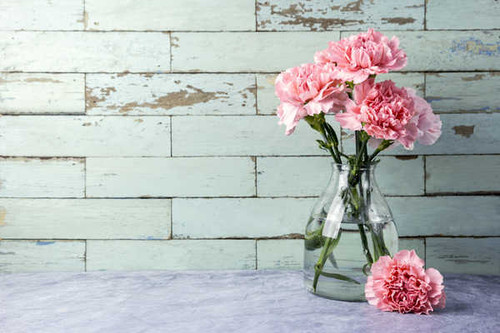 Jual Poster Carnations Pink color Vase WPS