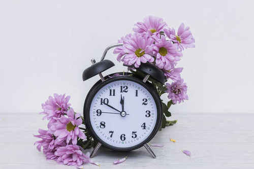 Jual Poster Chrysanthemums Clock Pink color WPS