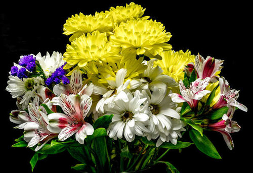 Jual Poster Chrysanthemums Lilies WPS Jual Poster Chrysanthemums Lilies WPS