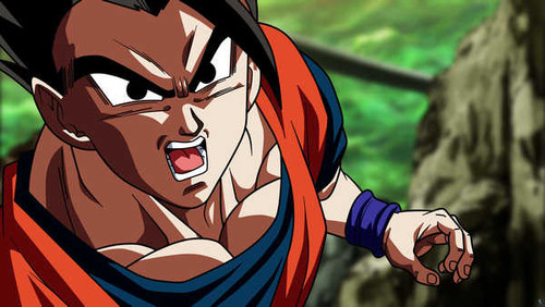 Poster Dragon Ball Dragon Ball Super APC238A