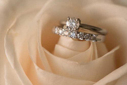 Jual Poster Closeup Jewelry Roses WPS Jual Poster Closeup Jewelry Roses WPS