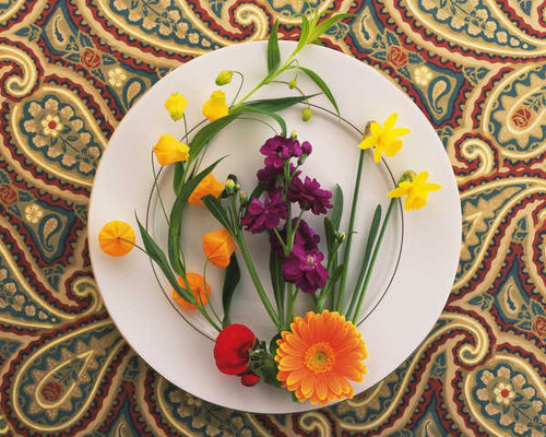 Jual Poster Daffodils Gerberas Matthiola Plate WPS
