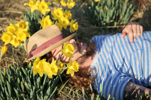 Jual Poster Daffodils Men Hat Lying down Sleep WPS