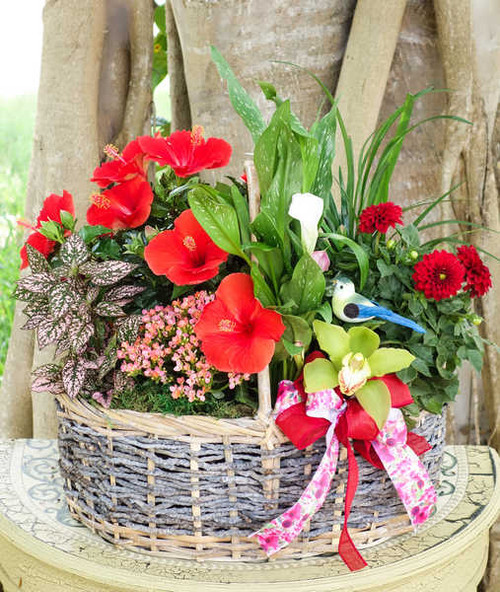 Jual Poster Dahlias Coleus Orchid Alstroemeria Wicker basket WPS