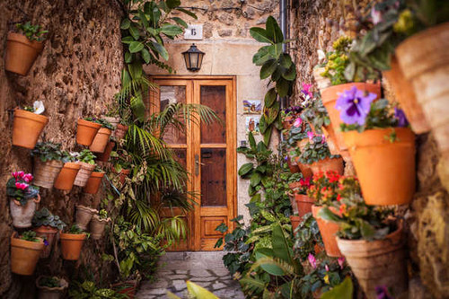 Jual Poster Flowerpot Door WPS Jual Poster Flowerpot Door WPS