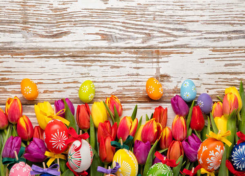 Jual Poster Holidays Easter Tulips Many Wood planks Eggs WPS