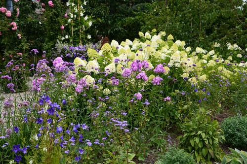 Jual Poster Hydrangea Floxes Bells WPS