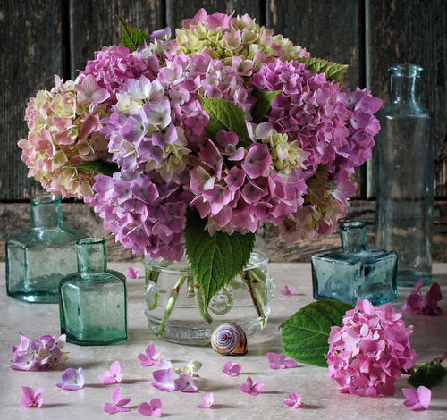 Jual Poster Hydrangea Petals Bottle WPS