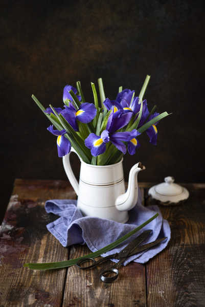 Jual Poster Irises Kettle Wood planks WPS